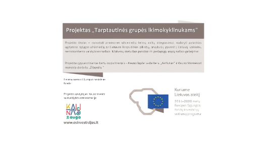 Projektas „Tarptautinės grupės ikimokyklinukams“